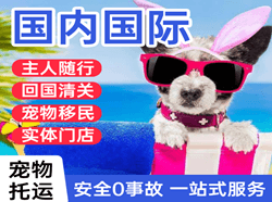 黄花机场托运国际宠物托运 【国